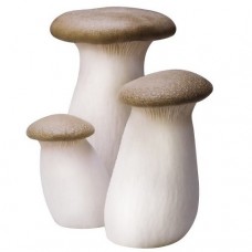 Eringii Mushroom 1Kg
