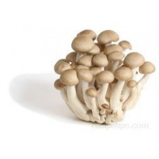 Shimeji Brown Mushroom 150Gr Maoxiong